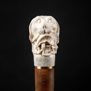 May include: A walking stick with a carved dog's head at the top. The head is made of white bone and has a brown leather collar. The stick is made of dark wood with a brown leather wrap.