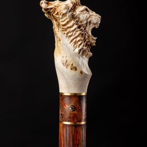 Puede incluir: Un bast&oacute;n de paseo con una cabeza de le&oacute;n tallada en la parte superior. La cabeza est&aacute; hecha de hueso y tiene una melena detallada. El bast&oacute;n est&aacute; hecho de madera y tiene una banda de lat&oacute;n alrededor.