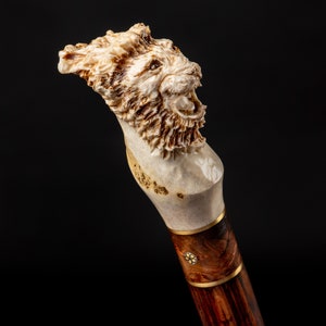 Puede incluir: Un bast&oacute;n con un mango tallado en forma de cabeza de le&oacute;n. El mango est&aacute; hecho de hueso y el eje est&aacute; hecho de madera.