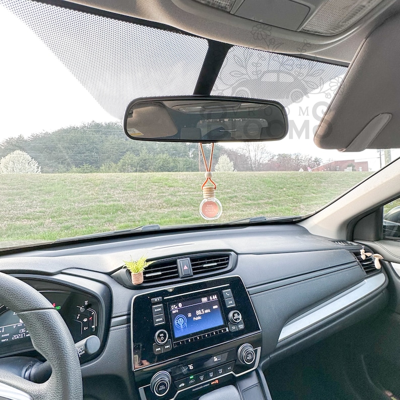 May include: A car interior with a rearview mirror, a small potted plant, and a car air freshener hanging from the mirror. The air freshener is a small glass bottle with a cork stopper and a brown and white string.