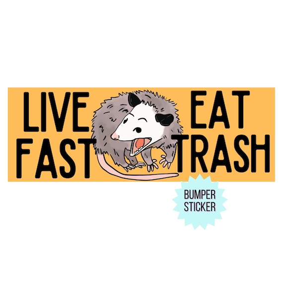 FUNNY BUMPER STICKER | Live Fast Opossum Bumper Sticker | U.V. Printed Bumper Sticker | Vinyl Sticker | Gen Z Aesthetic | Millennial Humor