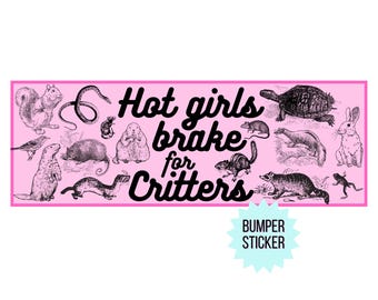 FUNNY BUMPER STICKER | Hot Girls Break Bumper Sticker | U.V. Printed Bumper Sticker | Vinyl Sticker | Gen Z Aesthetic | Millennial Humor