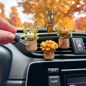 Fall Plant Car Air Freshener | Pumpkin Vent Clip Diffuser | Cork Car Scent | Eco Car Gift | Essential Oil Clip | Handmade