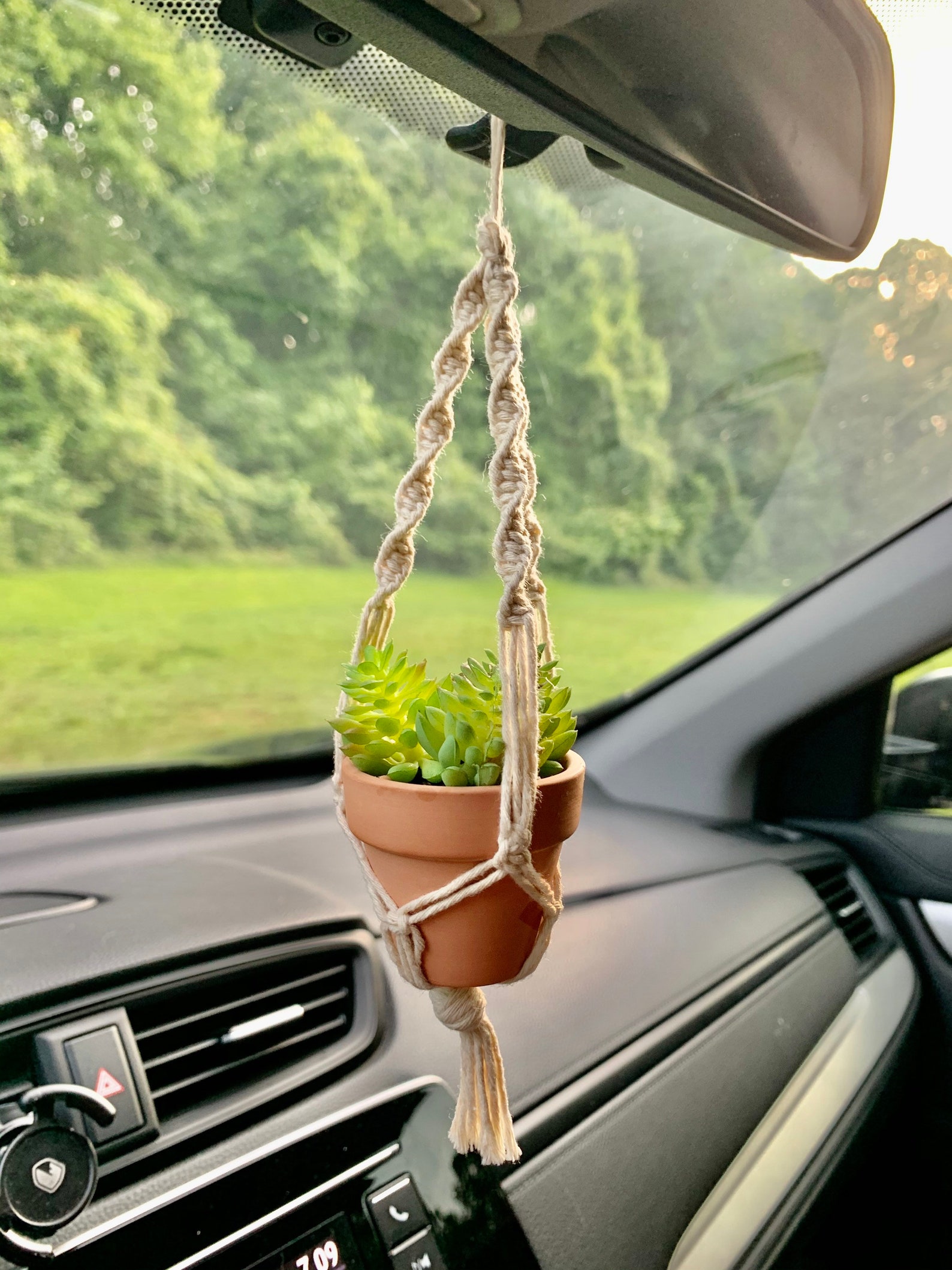 CAR PLANT HANGER Car Accessories Rear View Mirror Hanging Etsy