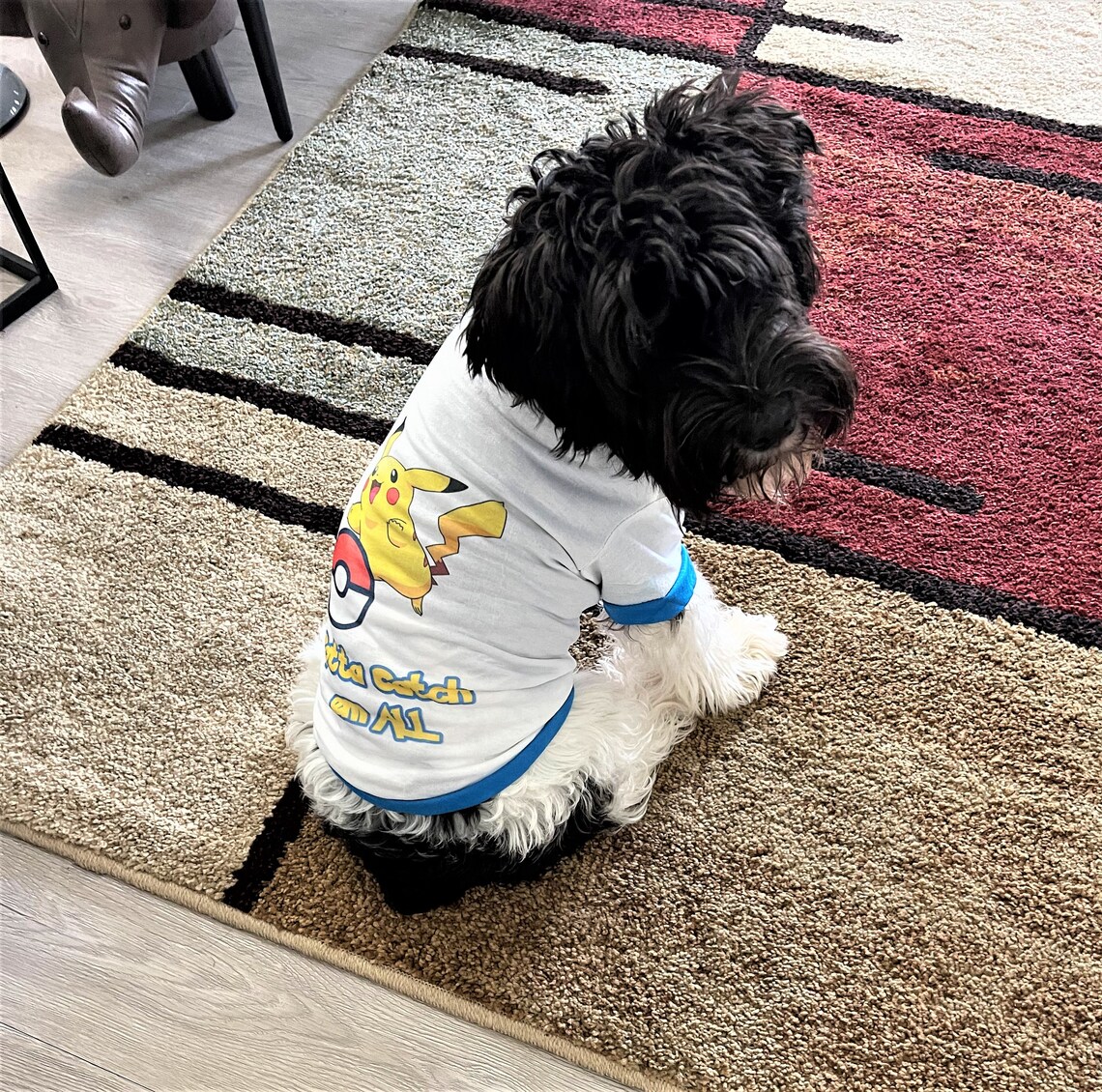 Sublimation Blank Dog Shirt Pet Shirt Polyester Dog Tee for Etsy