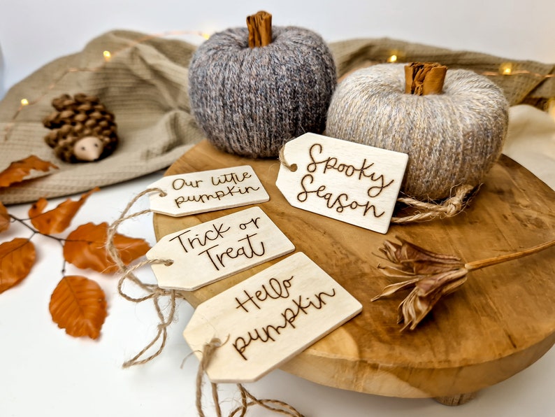 Autumn Pumpkin Home Decor Woolly Decorative Pumpkin Etsy UK