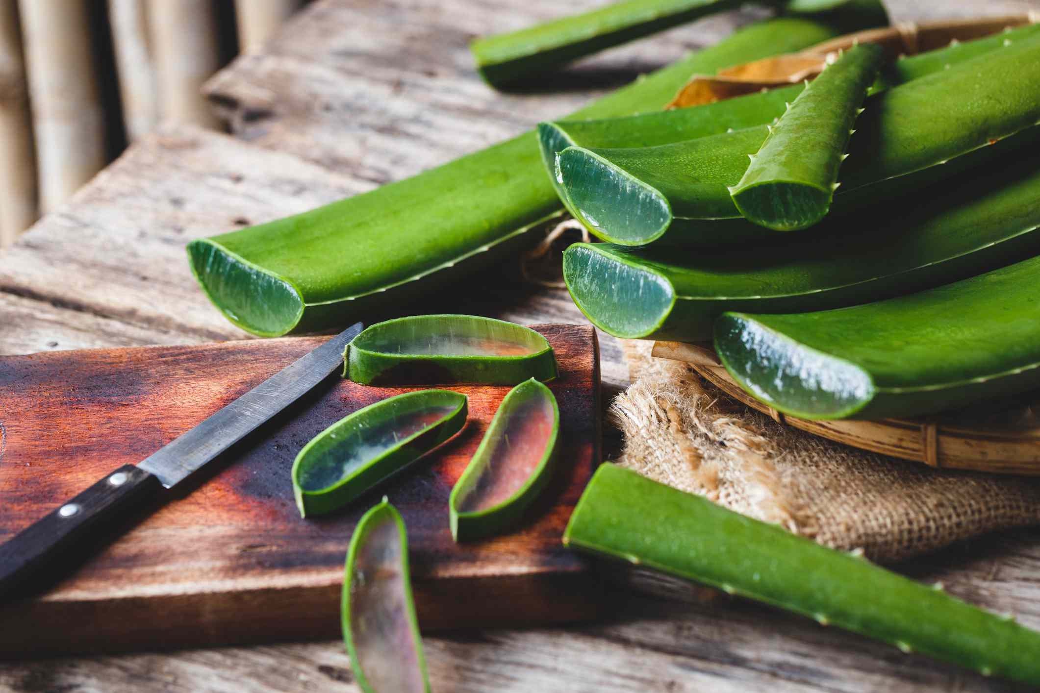 5 Aloe Vera Plant Healing Succulent Pup (3-6 Inch) Barbadensis Pink ...
