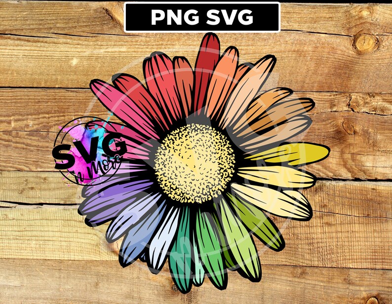 Download Rainbow daisy SVG PNG digital download transfer flower ...