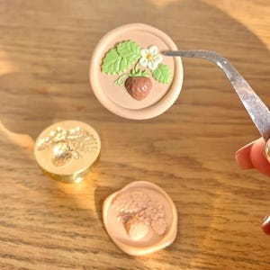 3D lakzegelstempel aardbei/waszegelset wilde aardbei//waszegelstempel fruit aardbei en blad/waszegel verjaardagscadeau