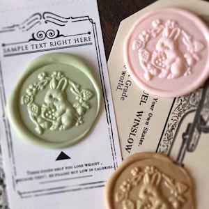 Timbro sigillo di cera di coniglio ghirlanda 3D/kit di sigillatura di cera di coniglio e fragola/sigillatura di timbri di cera di coniglio carino/kit di timbri sigillo per buste regalo di compleanno