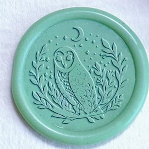 Kit di sigillo in ceralacca con gufo carino con luna/Timbro di sigillo in ceralacca con corona di gufo/Timbro di sigillo in ceralacca regalo di compleanno/Kit di sigillo in ceralacca con gufo sul ramo