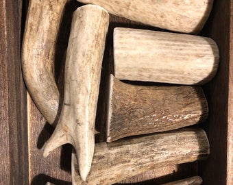 Könnte beinhalten: Eine Sammlung von sechs Hirschgeweih-Kauknochen in verschiedenen Formen und Größen, angeordnet in einer Holzkiste. Die Geweihe sind naturbelassen, in hellbrauner Farbe und mit rauer Textur.