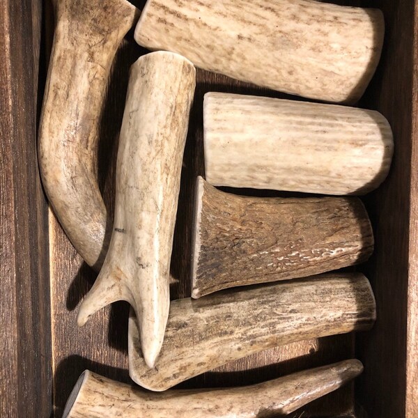 Antler chews (elk) 1 pound