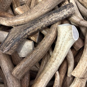 1 lb Elk Antler Dog Chews Bulk  Naturally Shed, Long-Lasting, Single Ingredient, Assorted Sizes
