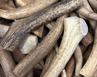Antler chews (elk) 1 pound