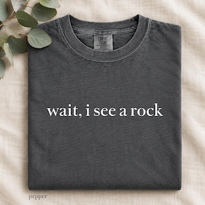 Wait I See A Rock Shirt, Comfort Colors T-Shirt, Funny Geologist Gift, Science Shirt, Rock Lover Shirt, Geology Teacher Tee, Rockhound Shirt
