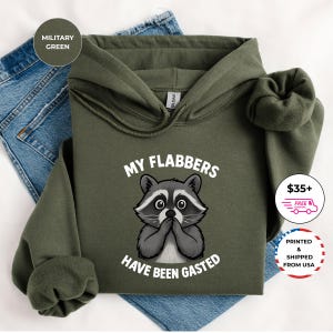 My Flabbers Have Been Gasted Hoodie, Funny Meme Pullover, Sarcastic Raccoon Hooded Sweatshirt, Flabbergasted Animal Gift for Adults
