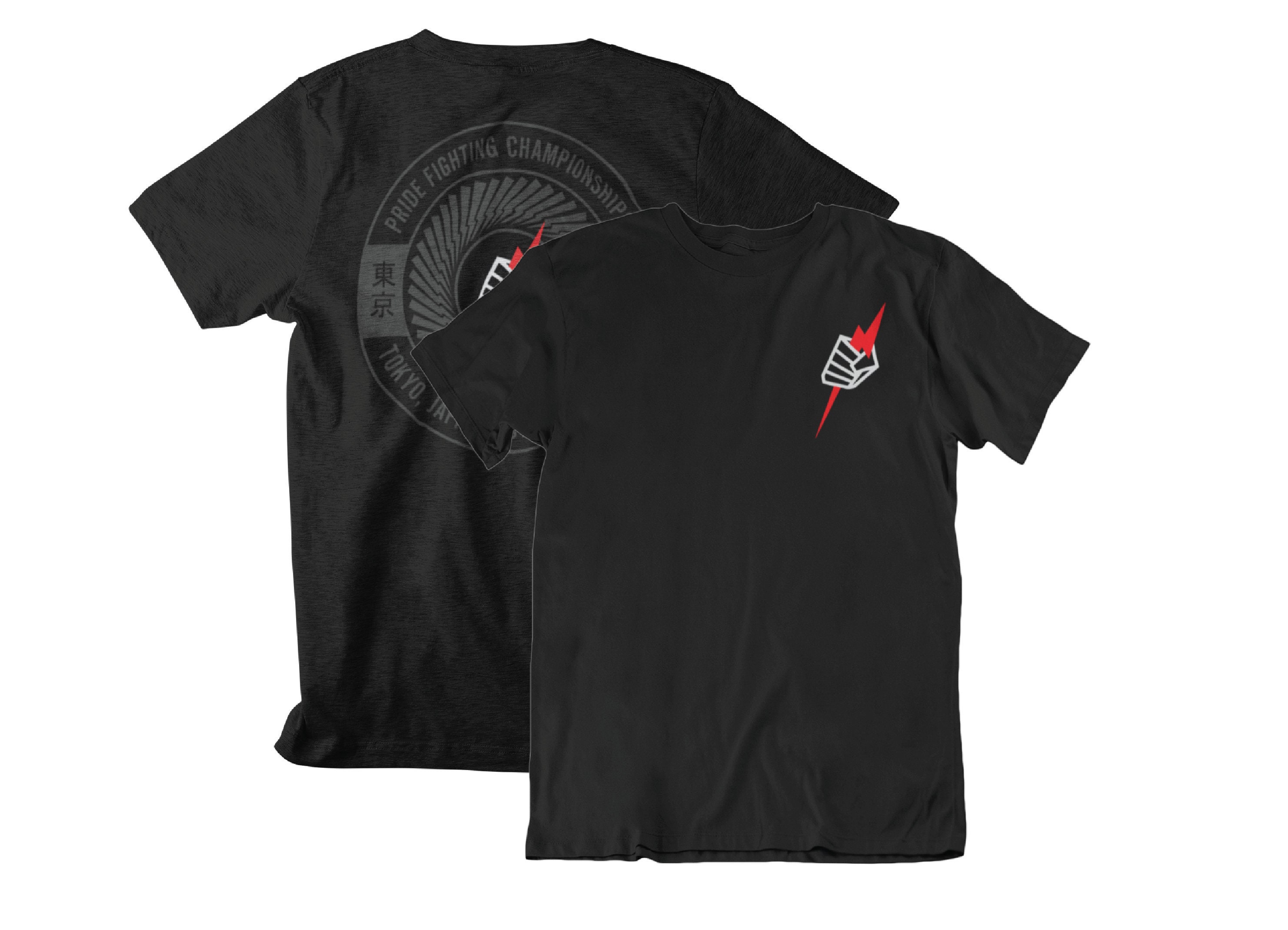 EMF/STIGMA JAPAN TOUR T-shirt M