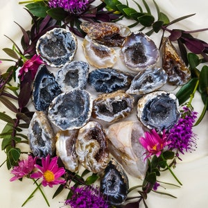 May include: A collection of agate slices in various shapes and sizes, featuring natural patterns and colors. The slices are arranged on a white surface with green foliage and purple flowers.