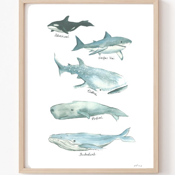 Wale Bild Poster A4 21 x 30cm mit Aquarell Print Deko Geschenk bunt Tiere Meer Pottwal Hai Wal Ozean Kinderzimmer maritim Tierbild Orka