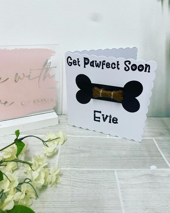Get well gift for dog hot sale