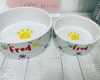 kitten bowls