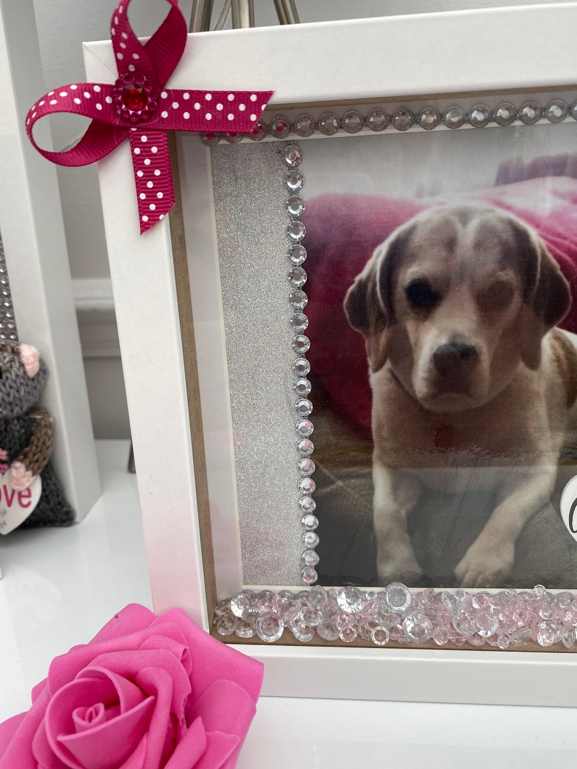 Personalised Pet Frames any animal Etsy