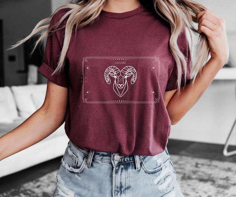 Aries T-Shirt, Zodiac Aries Shirt for Women, Round Neck Shirt Women, Short Sleeve Shirt Women, Zodiac Sign Top, Birthday Gift Kastanie