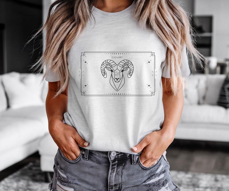 Aries T-Shirt, Zodiac Aries Shirt for Women, Round Neck Shirt Women, Short Sleeve Shirt Women, Zodiac Sign Top, Birthday Gift Silbergrau