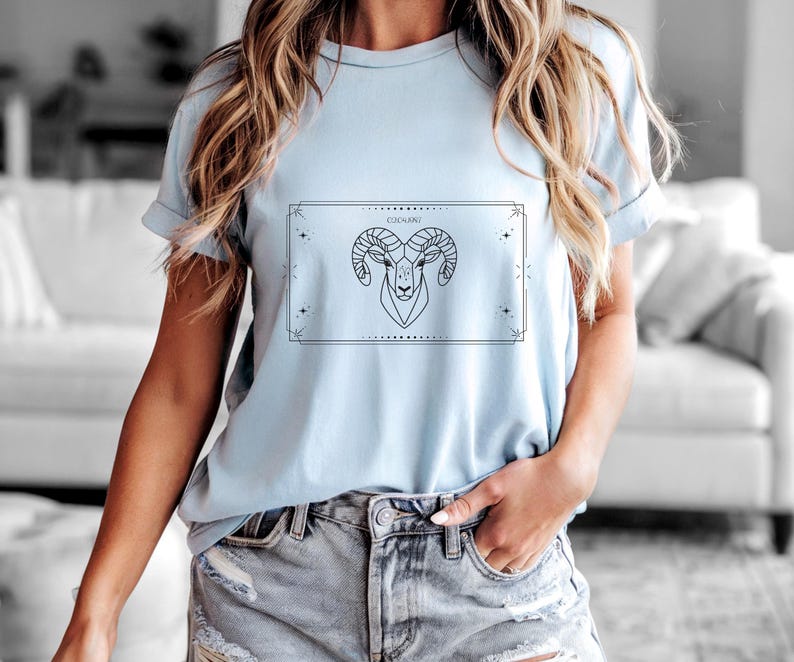 Aries T-Shirt, Zodiac Aries Shirt for Women, Round Neck Shirt Women, Short Sleeve Shirt Women, Zodiac Sign Top, Birthday Gift Hellblau