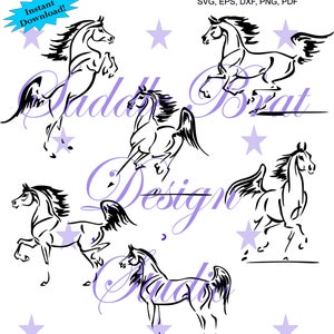 GROSSES ARABISCHES PFERD PFERD! svg, png, dxf, Cricut, sofortiger download, Pferd, Western Pleasure, Westernpferd, Araber