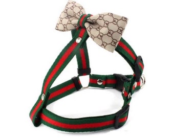 dog gucci harness