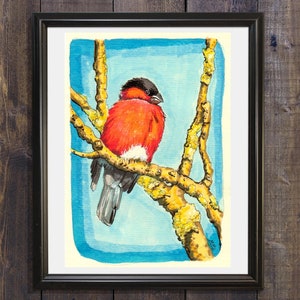 Arte impresión arte arte robin pared arte bosque animal casa decoración pájaro amante regalo Bullfinch dibujo Giclee Impresión colorida Deco Housewarming regalo