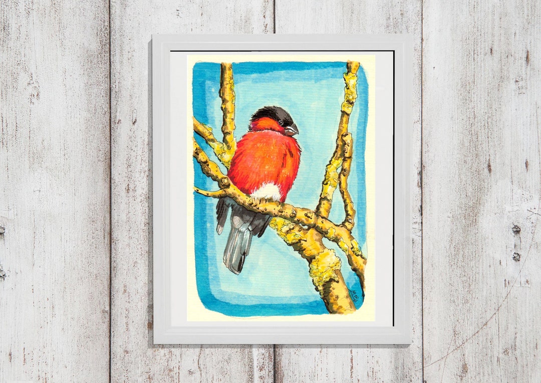 Art Print Bird Art Robin Wall Art Forest Animal Home Decor Etsy UK