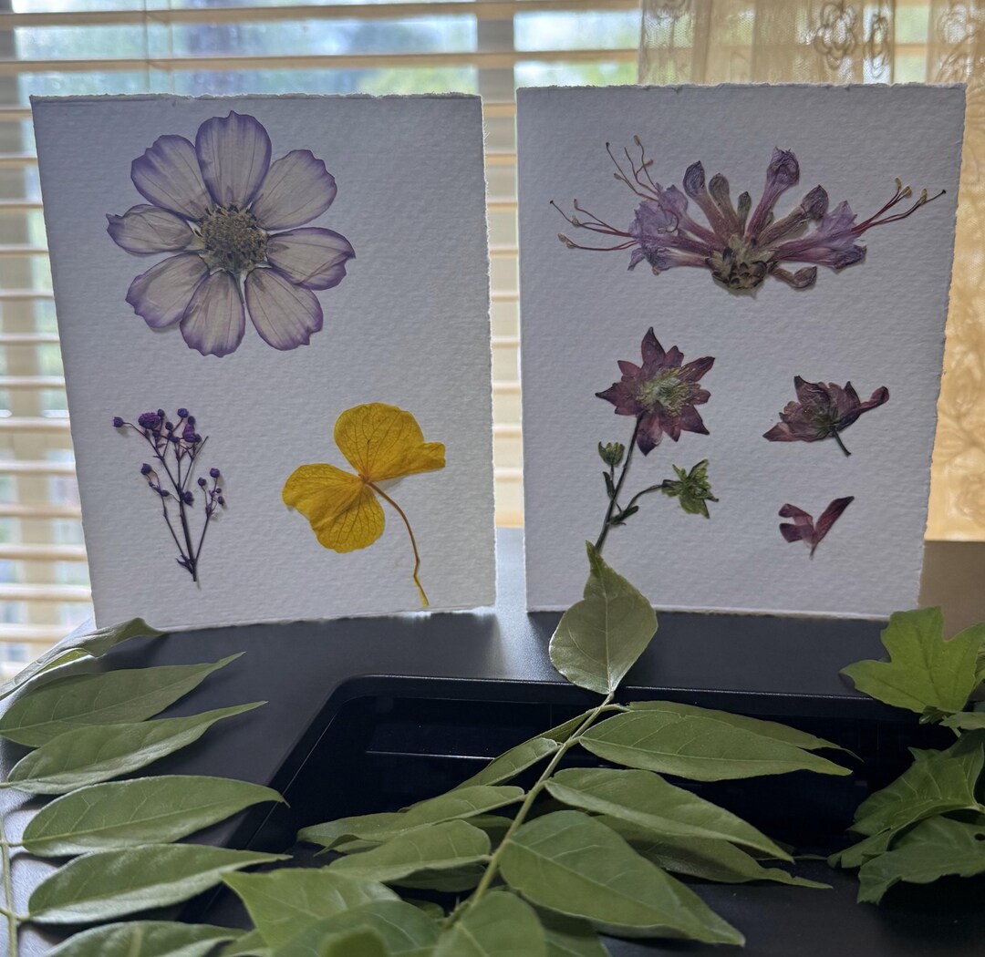 2 Pressed REAL Flowers Cards on Deckled Cotton Paper! Homemade Using ...