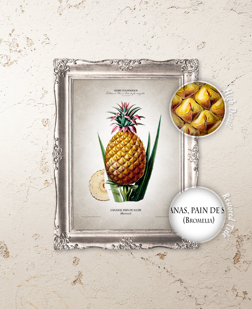 Ananas Etsy - Poster