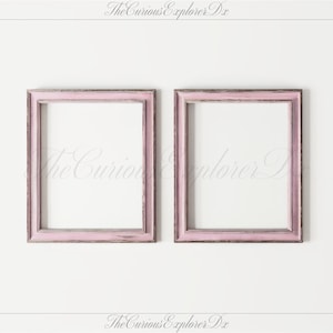 Simple Frame Mockup No3 | Pink Double Frame Mockup: 24x30 Set of 2 AI Art Mockup - Photoshop Poster Template & Vertical PSD Mockup