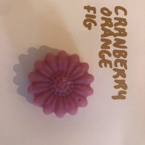 Wax Melts
