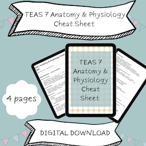 May include: Digital download of a TEAS 7 Anatomy & Physiology Cheat Sheet. The image shows a tablet with the title, surrounded by three other pages. The text "4 pages" is in a white cloud shape. The words "DIGITAL DOWNLOAD" are in a banner.