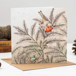 Carte de Noël Robins Nest