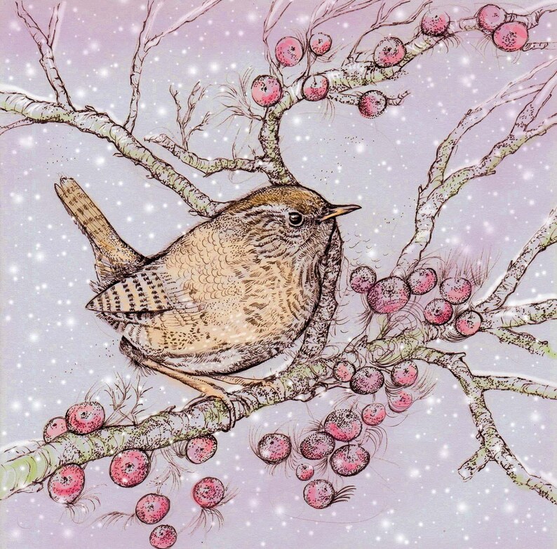 Carte de Noël Troglodyte mignon et petits fruits image 2