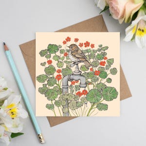 Confezione mista di 10 biglietti di auguri "Garden Birds"
