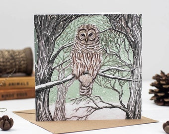 Barred Owl Christmas Card