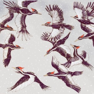 Cartão de Natal dos pica-paus-bico-de-marfim imagem 2
