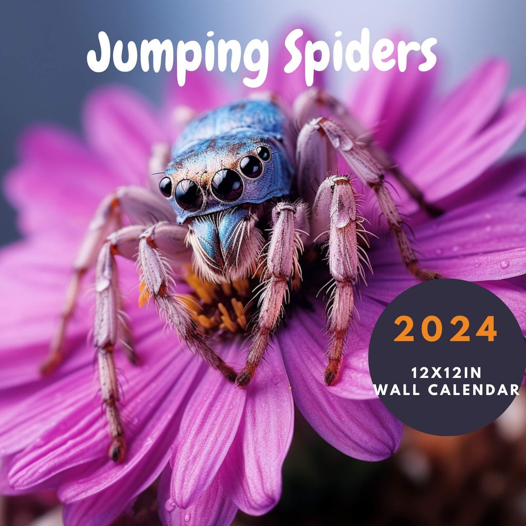 2024 Jumping Spiders 12x12in Wall Calendar, Full Size With Event Dates