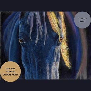 Gentle Eyes horse portrait equine fine wall art, horse lover gift, blue horse decor, giclee housewarming gift, macro horse eyes drawing