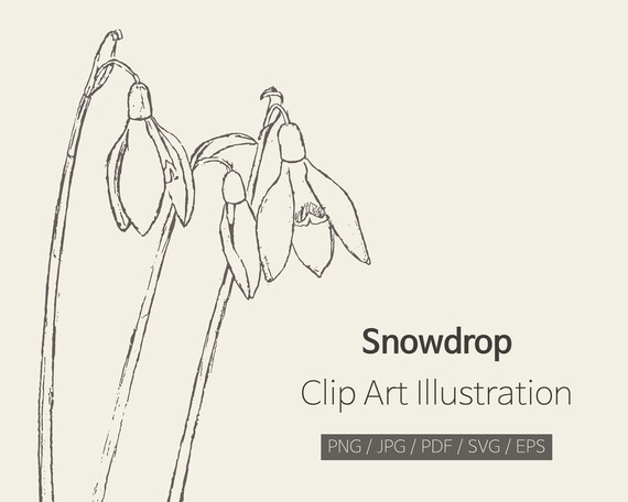Free Free 135 Snowdrop Svg SVG PNG EPS DXF File