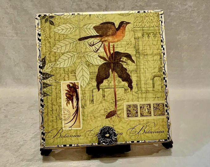 Botanica Cigar Box with Bird & Floral Art – Decorative Keepsake Box, Upcycled Storage, Nature Gift - Free Shipping