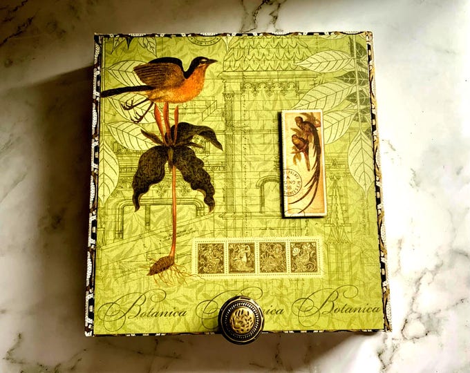 Botanica Cigar Box with Bird & Floral Art – Decorative Keepsake Box, Upcycled Storage, Nature Gift