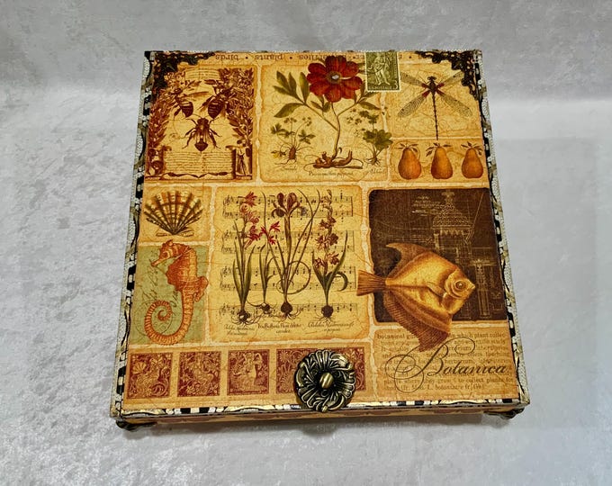 Coastal Botanical Keepsake, Seahorse Fish Jewelry Memory Box, Handmade Decorated Cigar Box